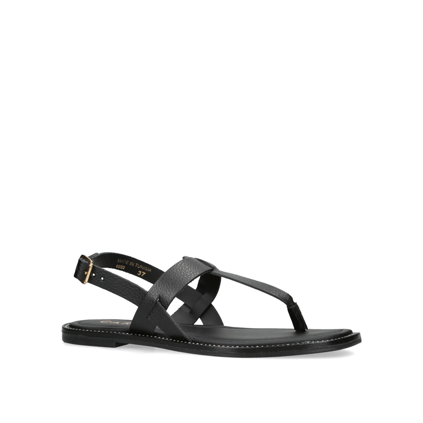 HORIZON - CARVELA Summer